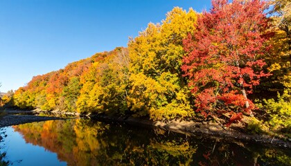 Fototapeta premium Autumnal river landscape with vibrant fall foliage
