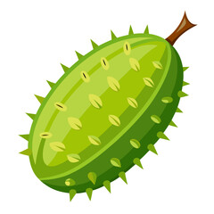 Vector illustration of fresh spiny gourd (kakrol) with tiny spikes, clean white background