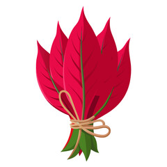 Flat vector of red amaranth leaves (lal shak) bundle tied with rope, isolated on white background