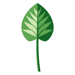 Minimalist vector of colocasia stem (kochur loti), isolated on white background