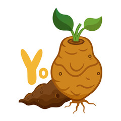 Unique vector drawing of elephant foot yam (ol) root with soil texture, white background