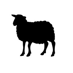 Sheep silhouette