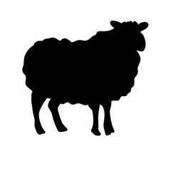Sheep silhouette