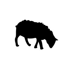 Sheep silhouette