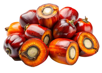 African Oil Palm Fruit