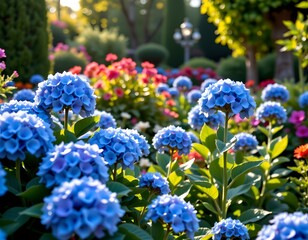Obraz premium A vibrant garden brimming with various plants and flowers, the most prominent being clusters of blue hydrangeas.