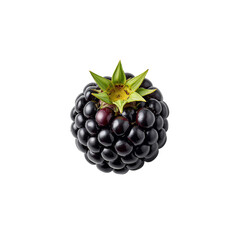A single blackberry fruit showcasing its intricate textures and vibrant colors on transparent canvas