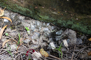 Broken glass shards scattered on a forest floor with debris