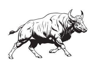 Powerful vector illustration of a charging bull, ideal for themes of strength and determination. Wildlife Animals.