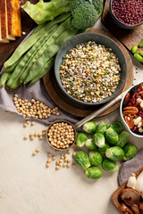 Asortment of plant based vegan protein products. Healthy eating.