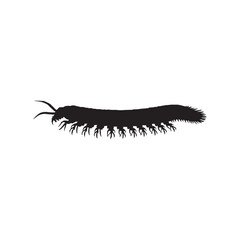 Centipede silhouette isolated on white background