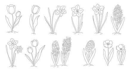 A collection of various flowers in a simple line drawing style