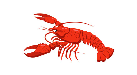Detailed red lobster on white background illustration for seafood designs