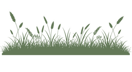 Green grass silhouette with wild plants on white background