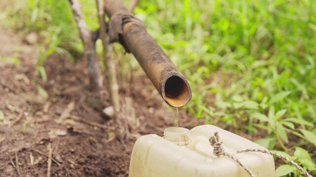 Close-up, traditional distillery dripping distilled palm wine alcohol into container, in rural indonesia, southeast asia, indigenous liquor