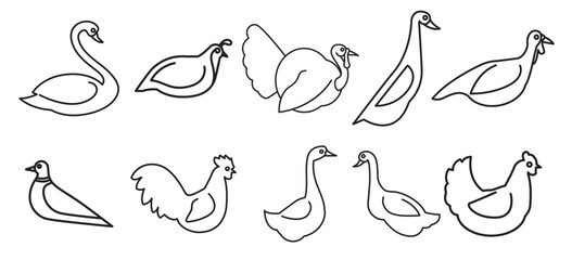 Set of Quail vector