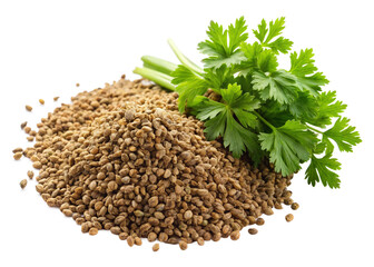 Celery seeds (true) isolated on white background