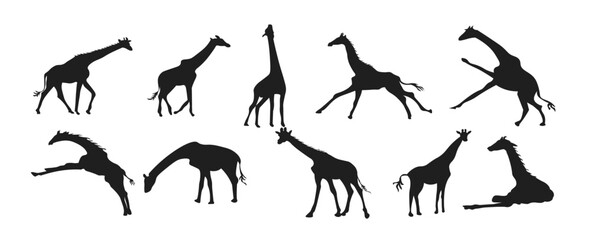 Set of giraffe animal silhouettes of various styles