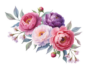 Fototapeta premium Watercolor pink and purple peony bouquet with green leaves isolated on transparent background
