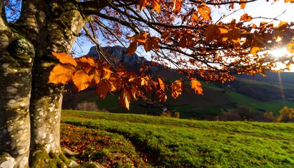Autumnal landscape with vibrant orange leaves framing a serene hillside vista.