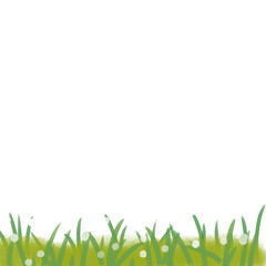 green grass background