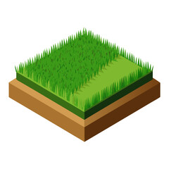 green grass in a box