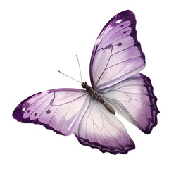 Elegant Purple Butterfly Illustration with Detailed Wings on Transparent Background
