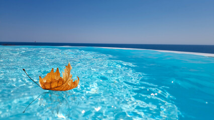 autumn leaves falling  swimming pool by the sea in greece for backgorund