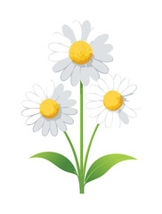 A beautiful and simple illustration of a bunch of daisies with green leaves