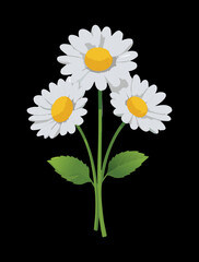 A classic illustration of a beautiful bouquet of white and yellow daisies