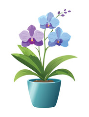 A classic and beautiful illustration of a light purple and blue Phalaenopsis orchid plant with multiple delicate blooms, presented in a simple blue pot, ideal for garden and home decor