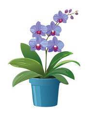 An eye-catching illustration of a deep purple and white Phalaenopsis orchid plant, featuring multiple detailed blossoms and green leaves in a light blue decorative pot