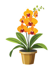 Beautiful Orange Potted Orchid with Green Leaves