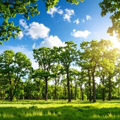 Fototapeta premium Lush green forest under a vibrant blue sky