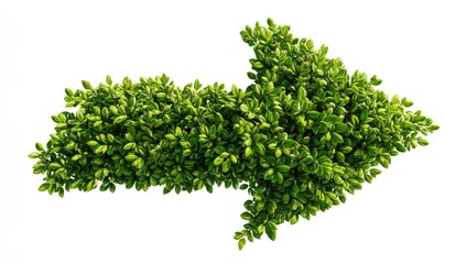 Obraz premium Green arrow formed from leaves against white
