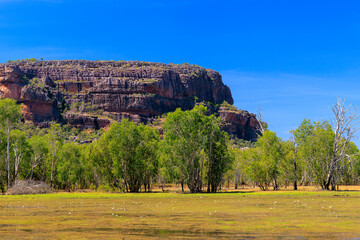 ーストラリア　ノーザンテリトリーのNawurlandjaの岩山と湿地帯