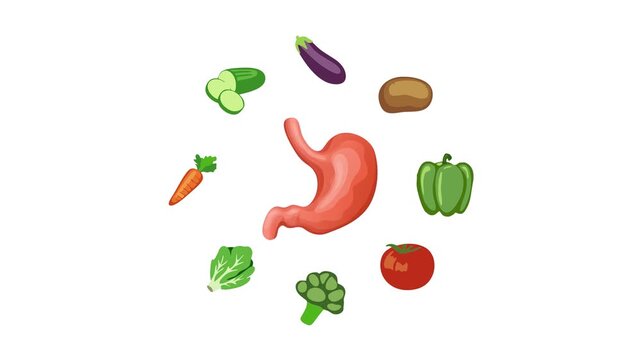 Healthy Food Stomach Function Vegetable Diet Nutrition Flat Illustration Concept
