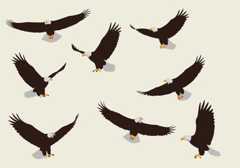 Boomerangs collection in brown and black colors