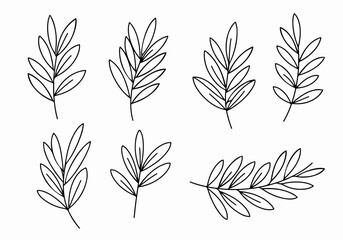 Various liquor bottles with transparent background