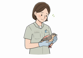 Woman caring for injured bird with gloves