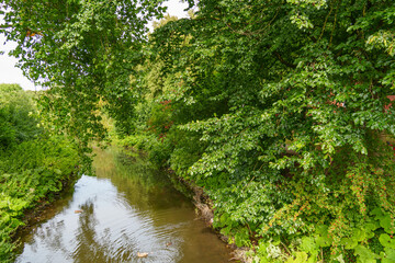 Obraz premium Sommerzeit in Coesfeld im Münsterland