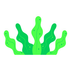 Cartoon Seaweed Illustration