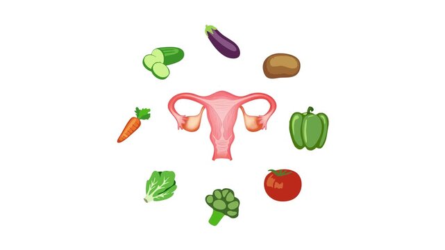 Healthy Food Ovarium Function Vegetable Diet Nutrition Flat Illustration Concept