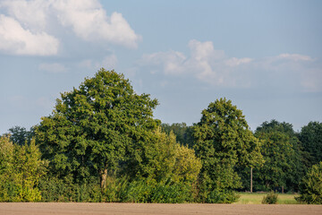 Obraz premium Spätsommer im Münsterland