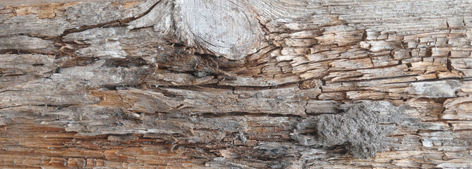 Weathered Wooden Surface with Rustic Texture