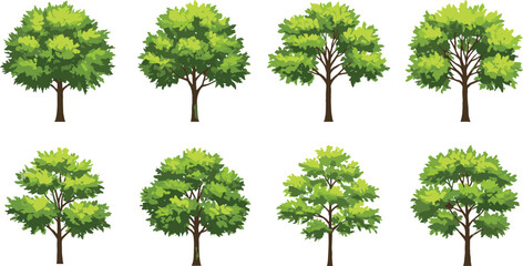 Collection of green leafy trees with brown trunks, various shapes and sizes, natural outdoor plants, garden landscape, isolated white background
