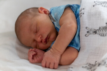 newborn baby sleeping