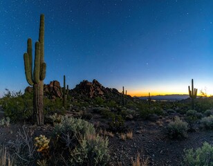 Nightscape of Cactus Landscape at Dusk