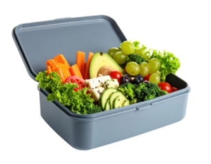 Healthy lunch box with fresh vegetables, cheese, grapes and broccoli in gray container on transparent background