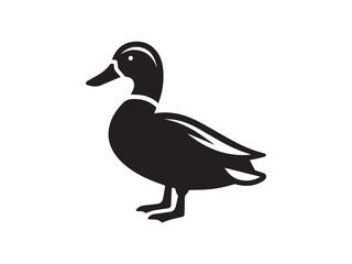 Standing Duck Silhouette, Bird Vector Illustration